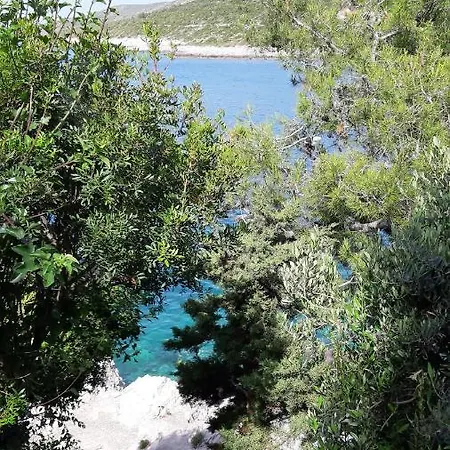 Apartament Mojmir *