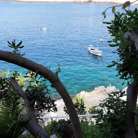 Mojmir 자발라티카